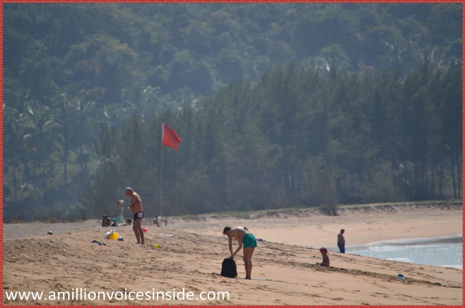 Photo of Goa: Galjibaga beach 11/23 by Shanta TS