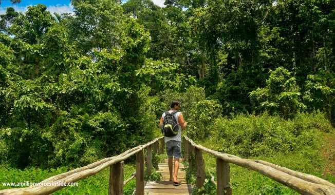 Photo of 10 Photographs: The Andamans 7/11 by Shanta TS