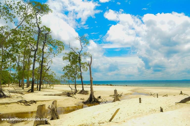 Photo of 10 Photographs: The Andamans 9/11 by Shanta TS