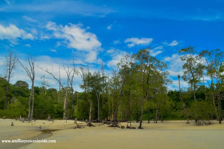 Photo of 10 Photographs: The Andamans 10/11 by Shanta TS