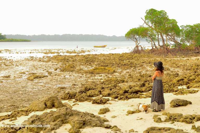 Photo of 10 Photographs: The Andamans 11/11 by Shanta TS