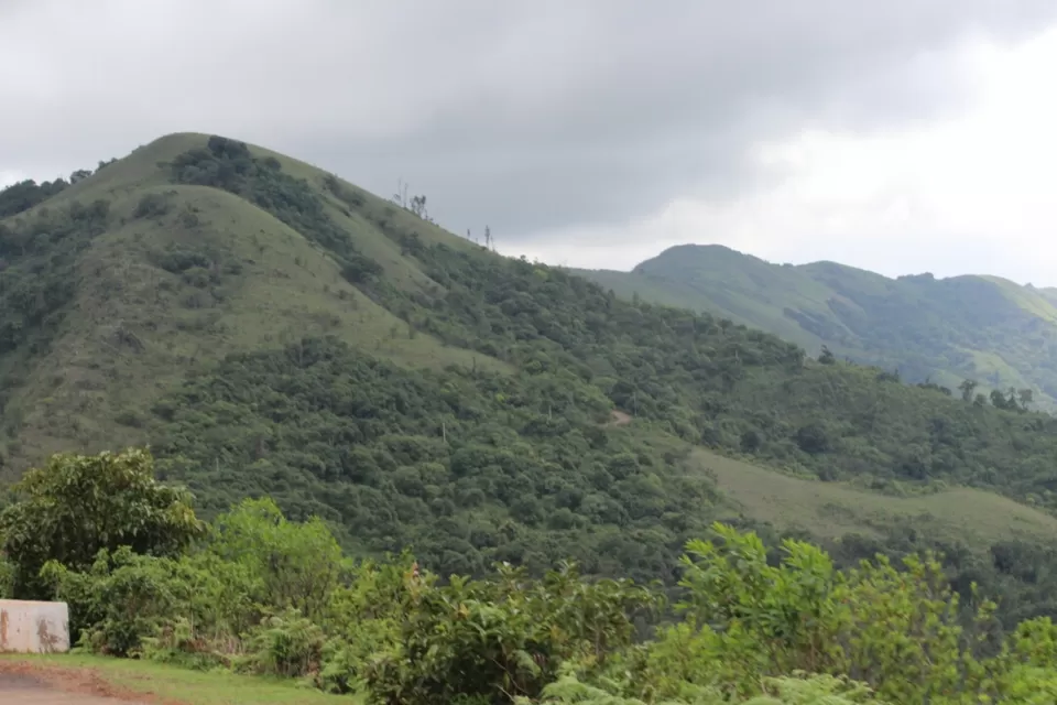 Photo of To The Land of Coffee - Chikkamagaluru by Dheeraj Voyagerz