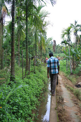 Photo of No, I don’t carry pepper spray. Yes, I travel alone in India. 6/6 by Elakkiya Ellavarason