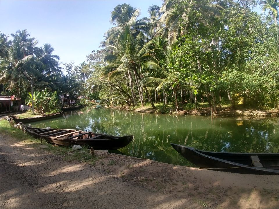 Photo of Kollam, Kerala, India by Swollen_Foot
