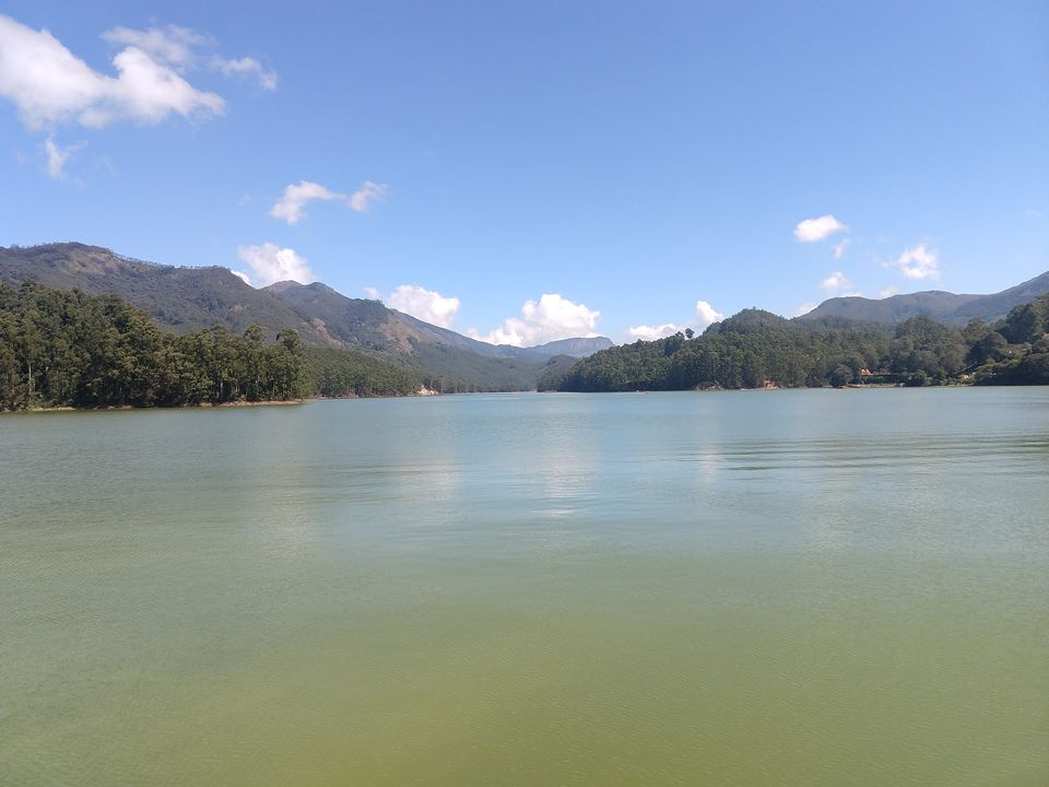 Photo of Munnar, Kerala, India by Swollen_Foot