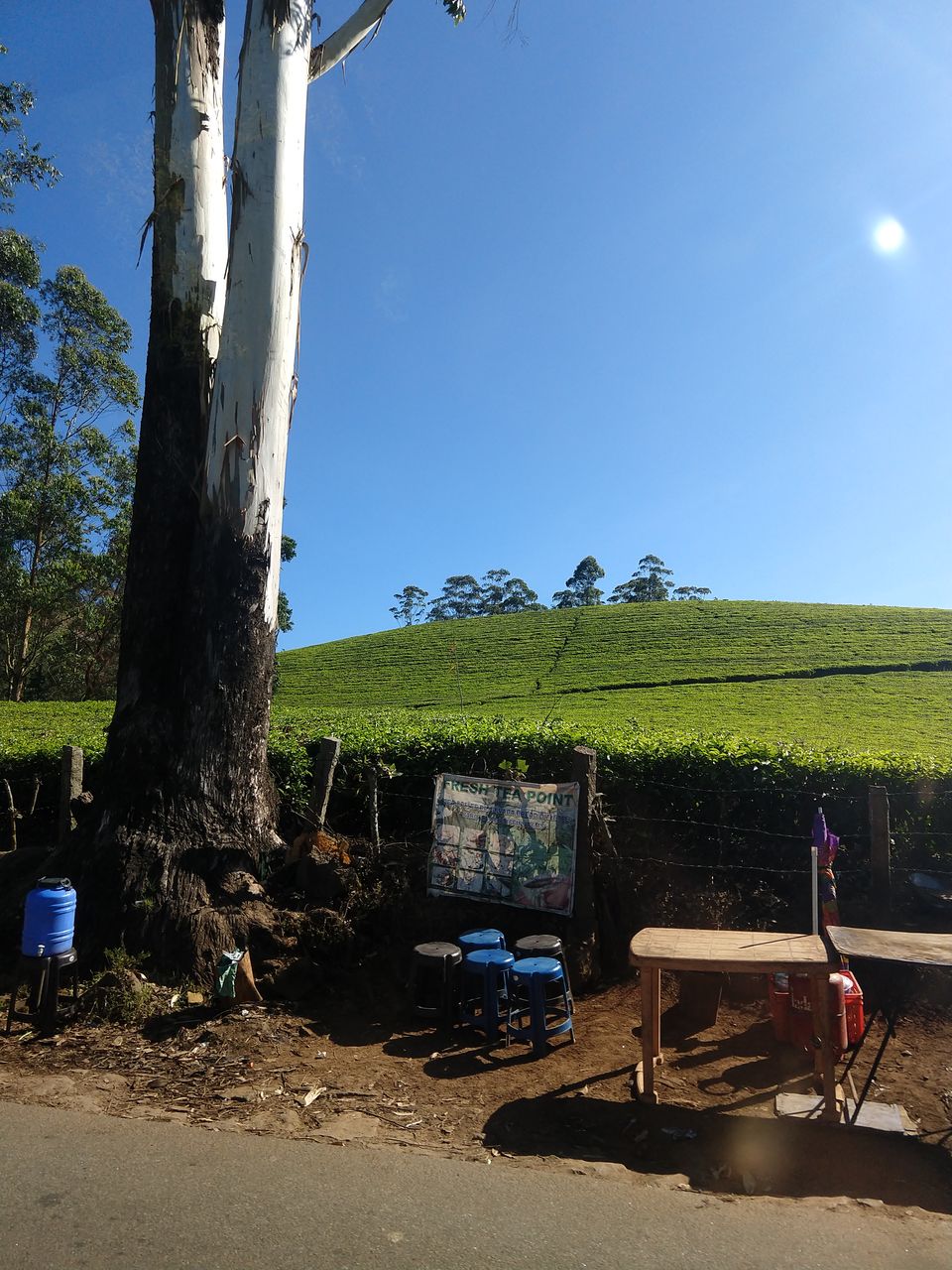 Photo of Munnar, Kerala, India by Swollen_Foot