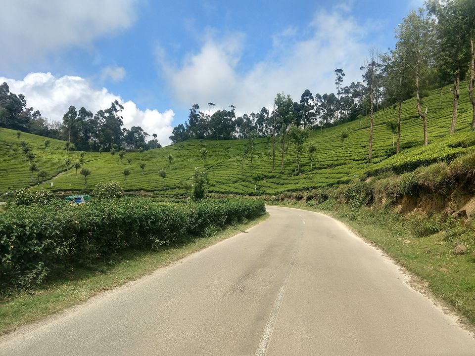 Photo of Munnar, Kerala, India by Swollen_Foot