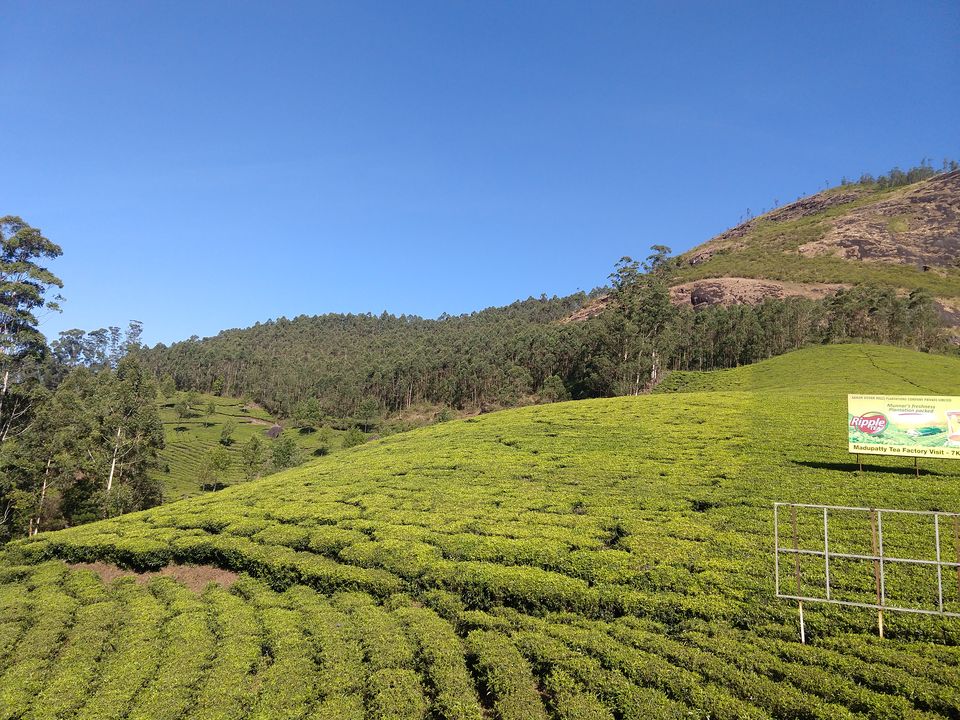 Photo of Munnar, Kerala, India by Swollen_Foot