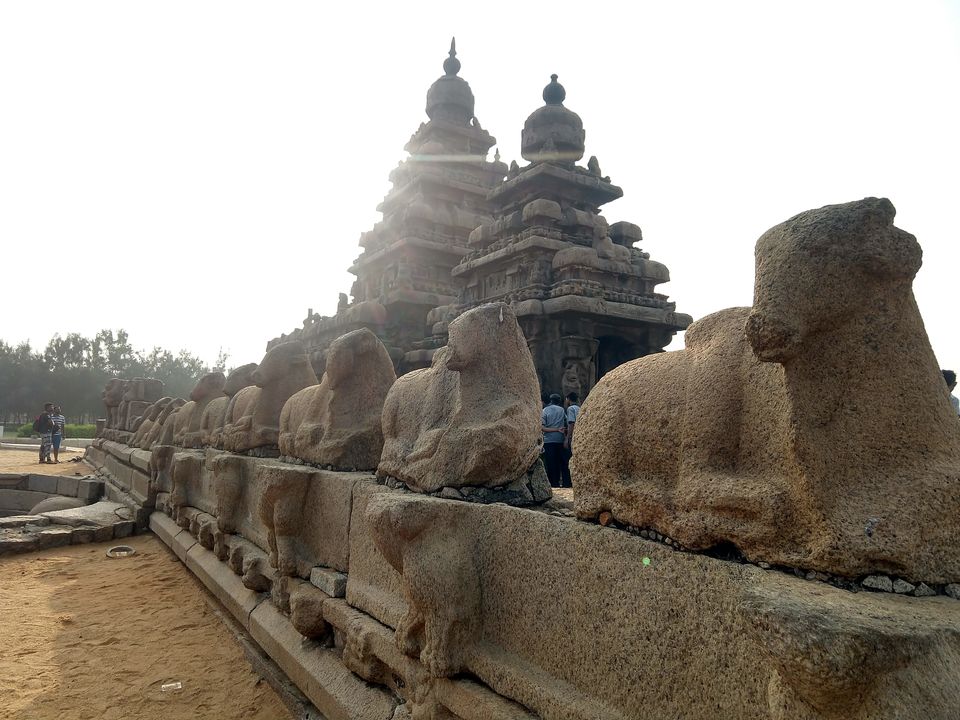 Photo of Mahabalipuram, Tamil Nadu, India by Swollen_Foot