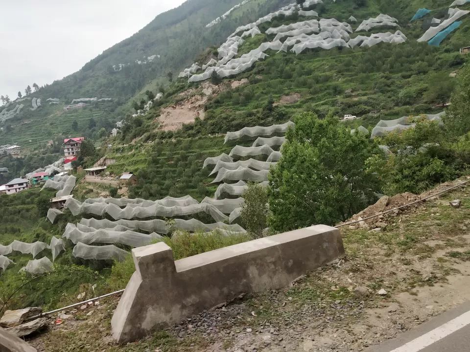 Photo of Reckong Peo, Himachal Pradesh, India by Swollen_Foot