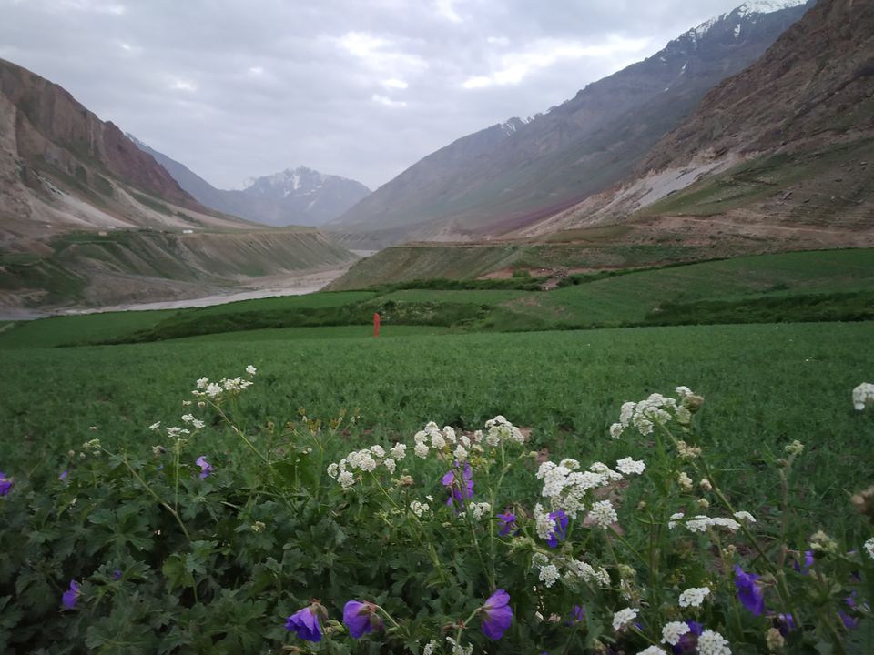 Photo of Mud, Himachal Pradesh, India by Swollen_Foot