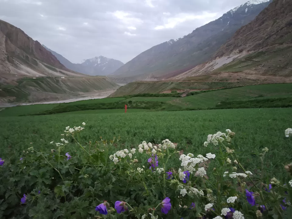 Photo of Mud, Himachal Pradesh, India by Swollen_Foot