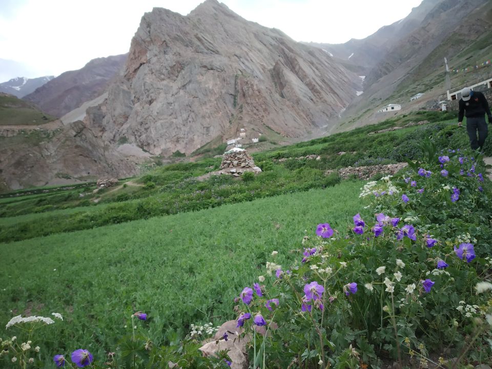 Photo of Mud, Himachal Pradesh, India by Swollen_Foot