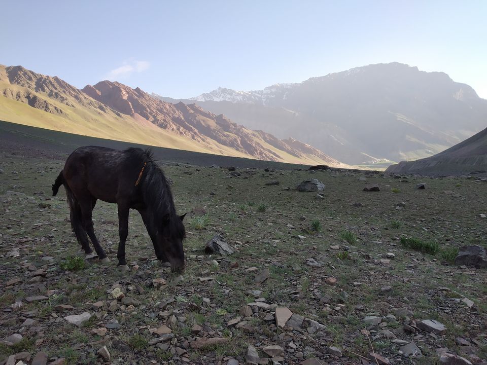 Photo of Mud, Himachal Pradesh, India by Swollen_Foot