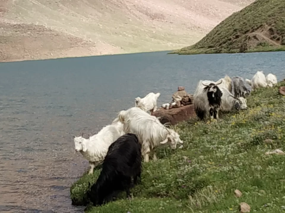 Photo of Chandra Taal, Himachal Pradesh by Swollen_Foot