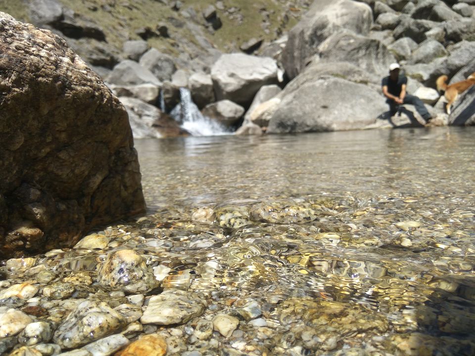Photo of When a dog became our trek guide: Kareri Lake Trek 10/35 by Swollen_Foot