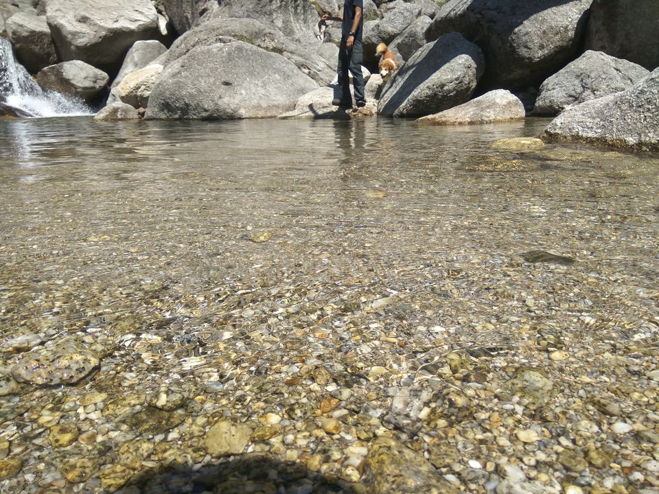 Photo of When a dog became our trek guide: Kareri Lake Trek 9/35 by Swollen_Foot