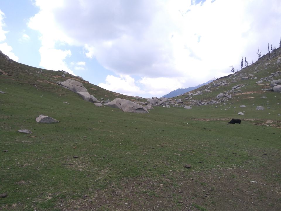 Photo of When a dog became our trek guide: Kareri Lake Trek 15/35 by Swollen_Foot
