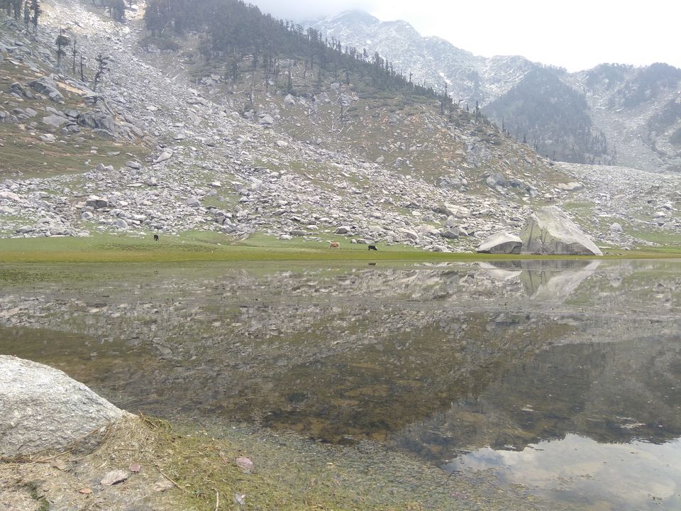 Photo of When a dog became our trek guide: Kareri Lake Trek 11/35 by Swollen_Foot