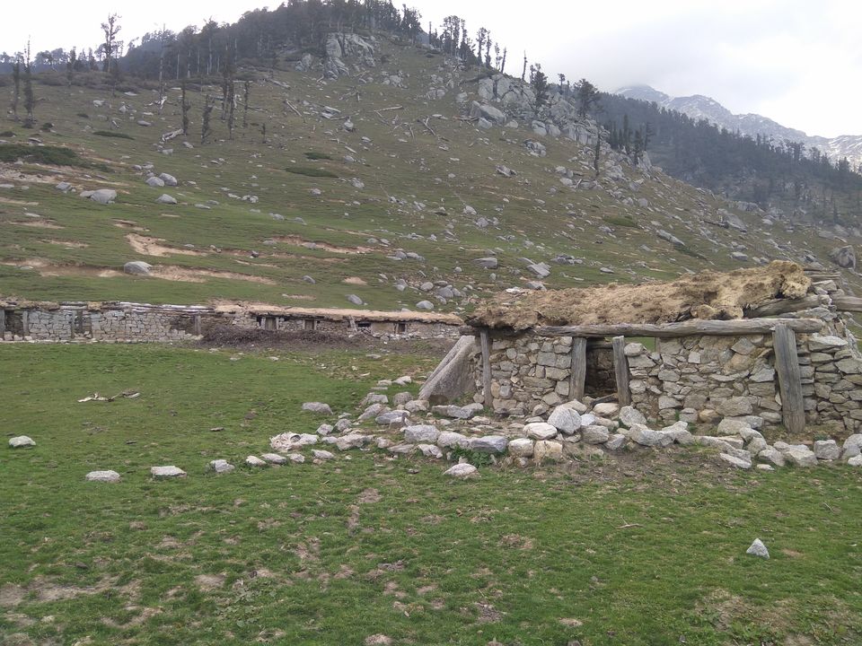 Photo of When a dog became our trek guide: Kareri Lake Trek 16/35 by Swollen_Foot