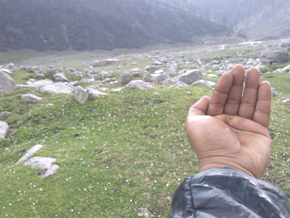 Photo of When a dog became our trek guide: Kareri Lake Trek 23/35 by Swollen_Foot