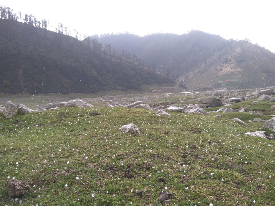 Photo of When a dog became our trek guide: Kareri Lake Trek 22/35 by Swollen_Foot