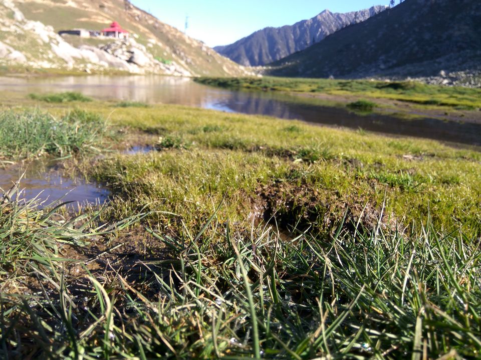 Photo of When a dog became our trek guide: Kareri Lake Trek 33/35 by Swollen_Foot