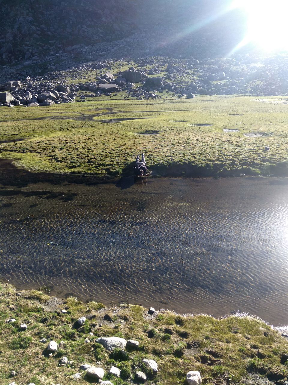 Photo of When a dog became our trek guide: Kareri Lake Trek 32/35 by Swollen_Foot