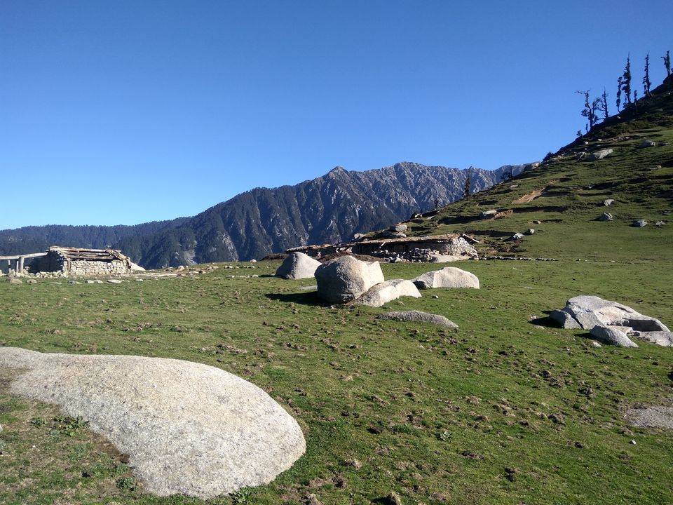 Photo of When a dog became our trek guide: Kareri Lake Trek 34/35 by Swollen_Foot