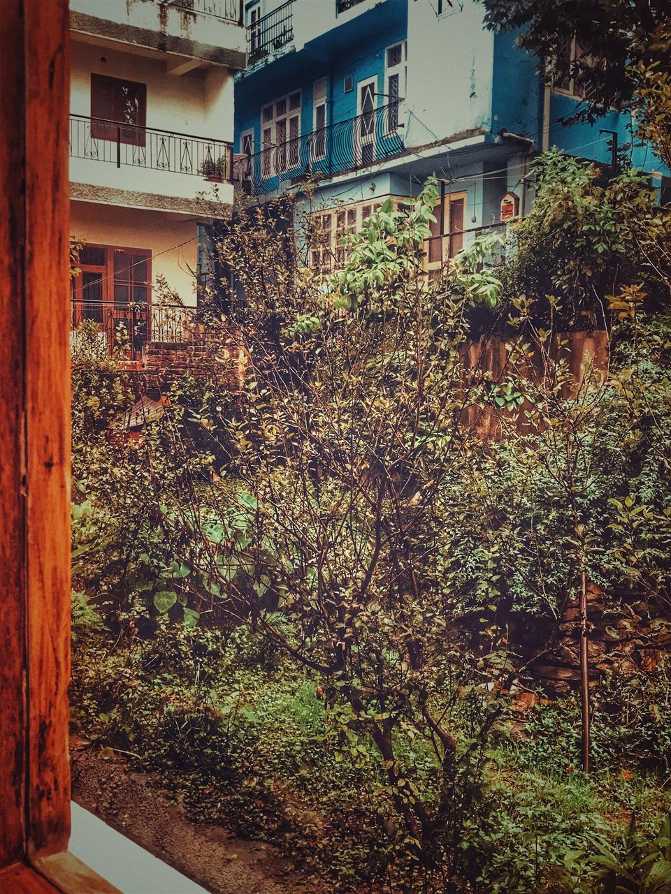 Photo of Weekend Detox- SHIMLA 6/6 by Anmol Pathak