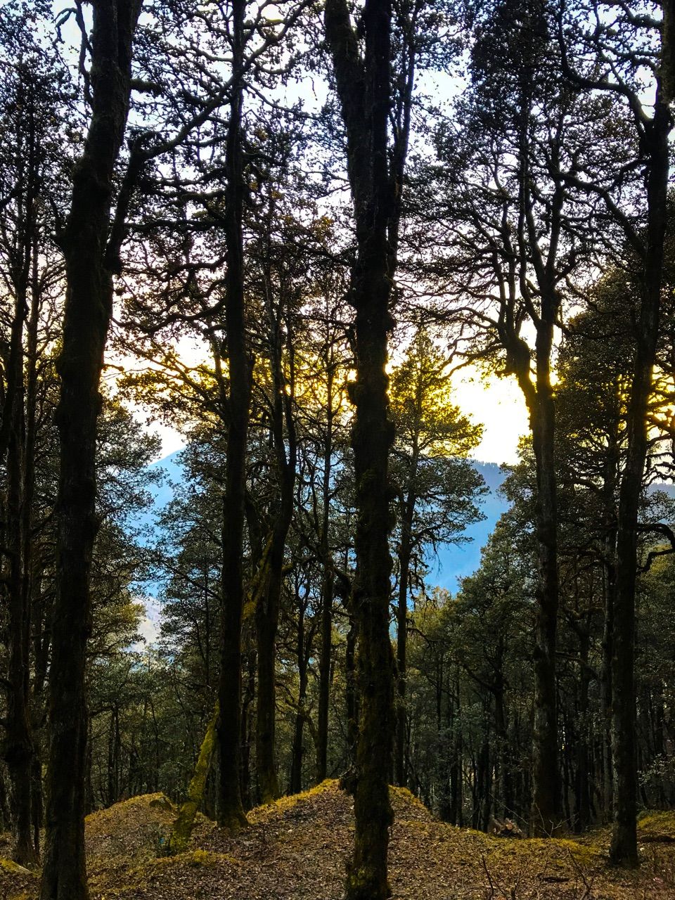 Photo of Serolsar Lake, Himachal Pradesh by Anmol Pathak