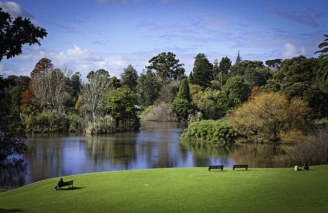 Photo of 5 Amazing Gardens to Visit in Melbourne 1/5 by Jane Wilson