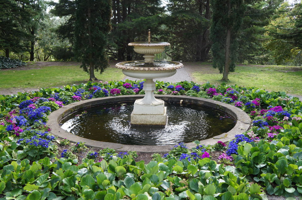 Photo of 5 Amazing Gardens to Visit in Melbourne 2/5 by Jane Wilson