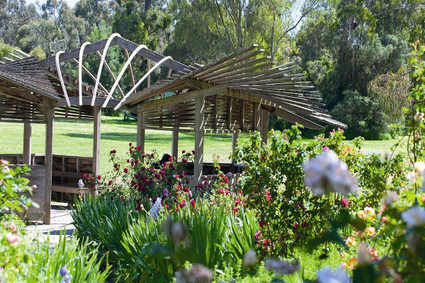 Photo of 5 Amazing Gardens to Visit in Melbourne 4/5 by Jane Wilson