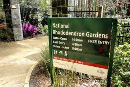 Photo of 5 Amazing Gardens to Visit in Melbourne 5/5 by Jane Wilson