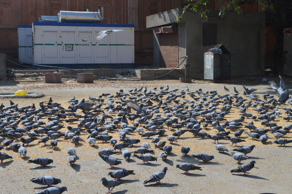 Photo of Unfolding Jaipur 21/32 by Anuj Gupta