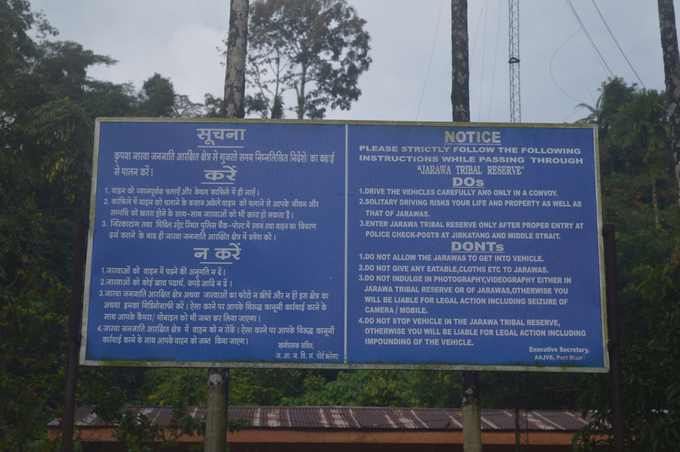 Photo of Spotting the cannibals and much more 12/29 by Anuj Gupta