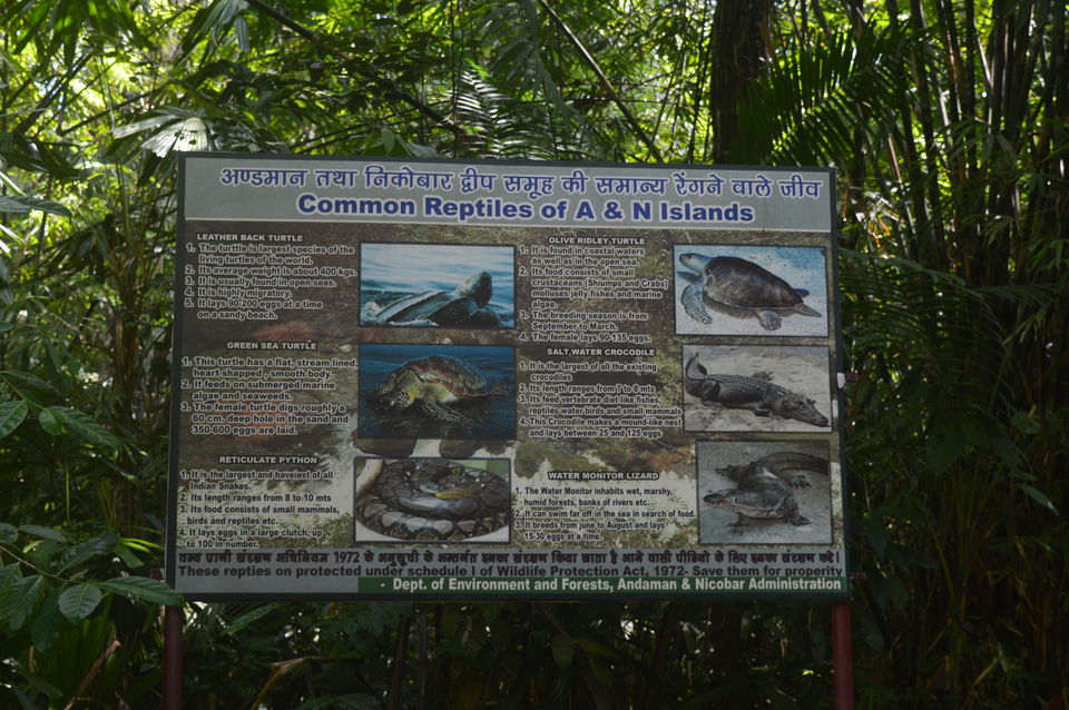 Photo of Spotting the cannibals and much more 15/29 by Anuj Gupta