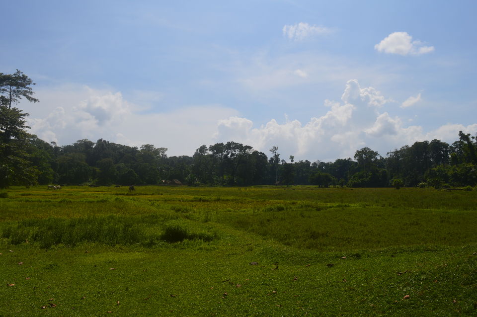 Photo of Spotting the cannibals and much more 16/29 by Anuj Gupta