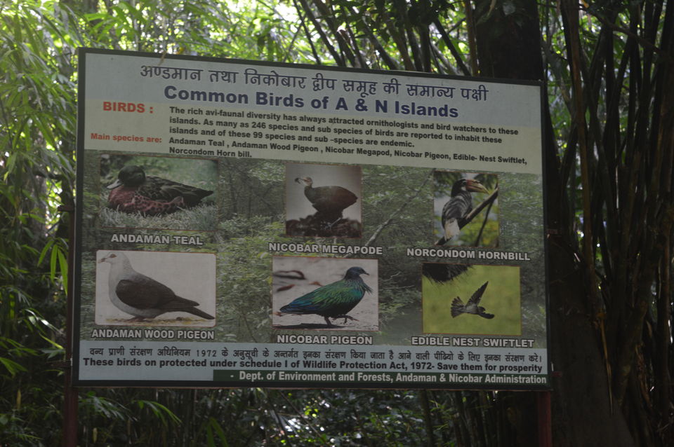 Photo of Spotting the cannibals and much more 17/29 by Anuj Gupta