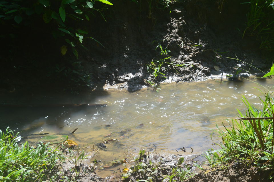 Photo of Spotting the cannibals and much more 19/29 by Anuj Gupta
