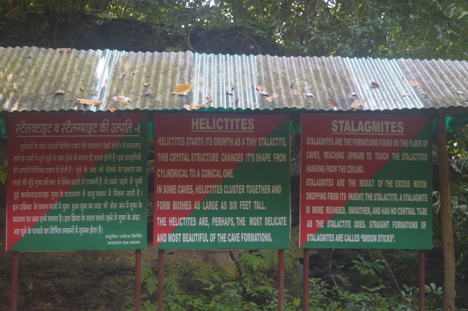 Photo of Spotting the cannibals and much more 23/29 by Anuj Gupta