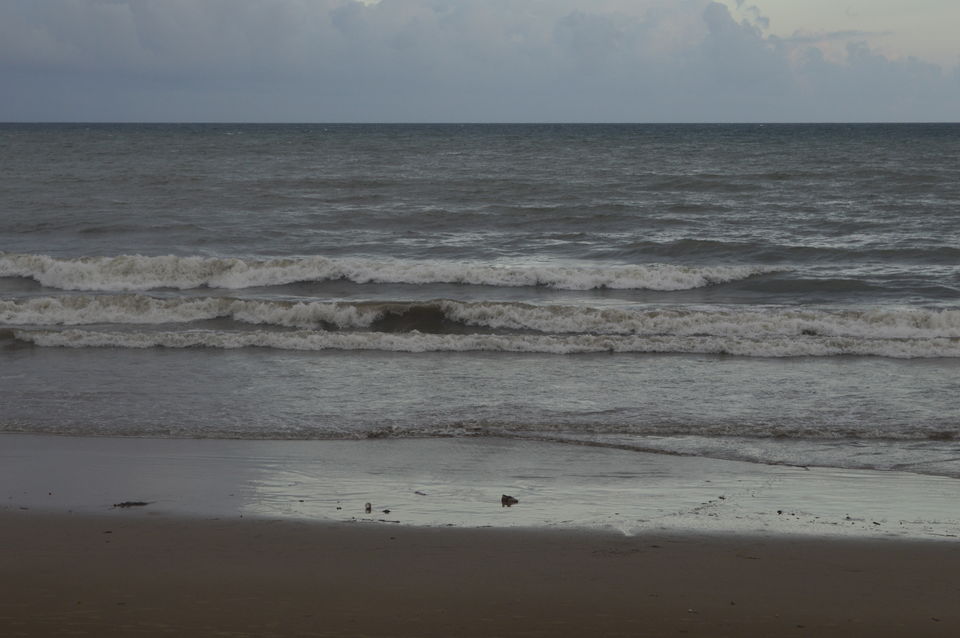 Photo of Spotting the cannibals and much more 29/29 by Anuj Gupta