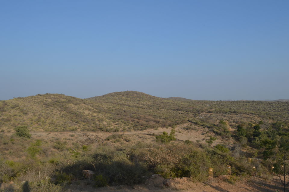 Photo of Discovering Mewar – A 3-Day Roadtrip 48/55 by Anuj Gupta