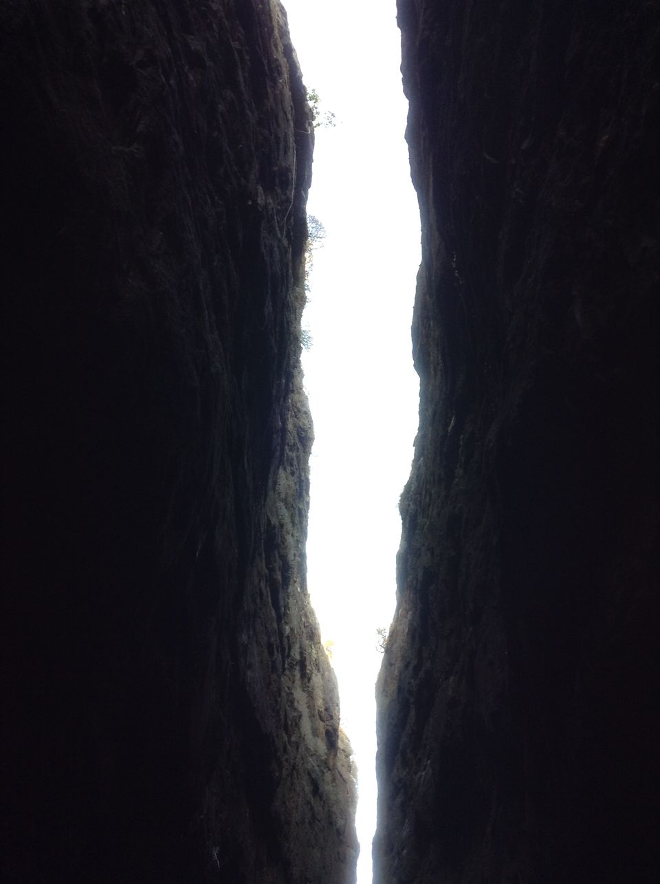 Photo of Trek to Sandhan Valley 7/31 by Anuj Gupta