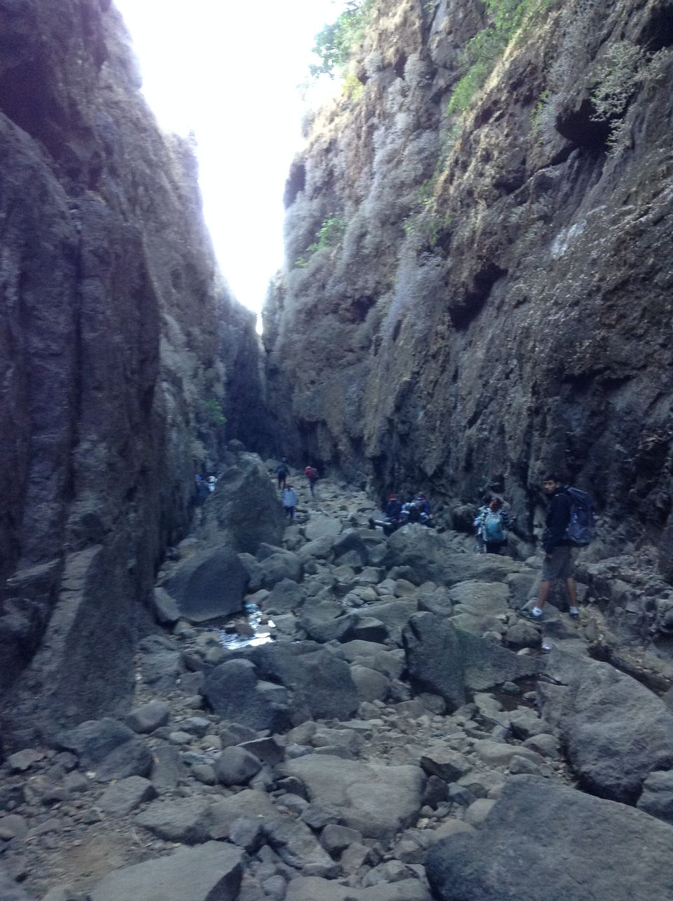 Photo of Trek to Sandhan Valley 14/31 by Anuj Gupta