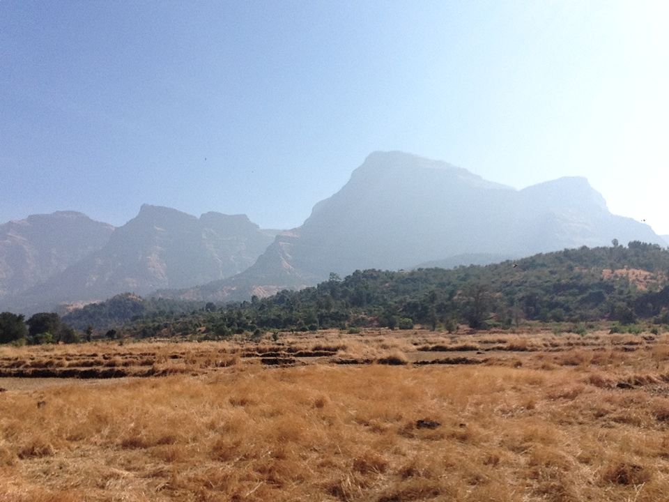 Photo of Trek to Sandhan Valley 25/31 by Anuj Gupta