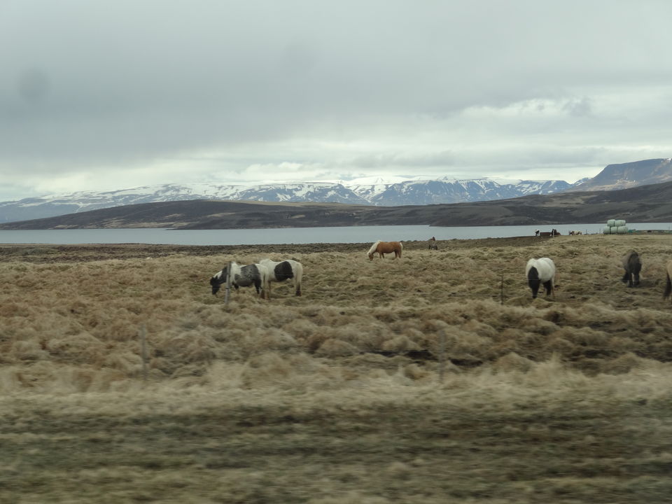 Photo of Self Drive Trip to Iceland 20/28 by SAMsTRAVELOGY