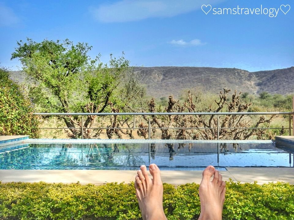 Photo of Luxury + Isolation = Tree of Life 14/15 by SAMsTRAVELOGY