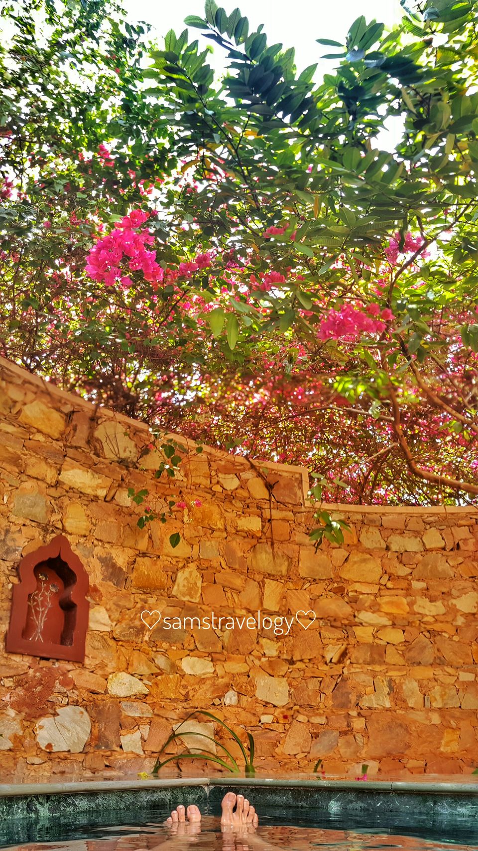 Photo of Luxury + Isolation = Tree of Life 15/15 by SAMsTRAVELOGY